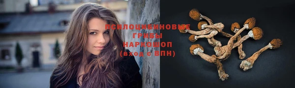 ALPHA PVP Куйбышев
