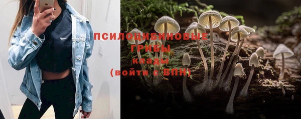 прущий лед Кулебаки