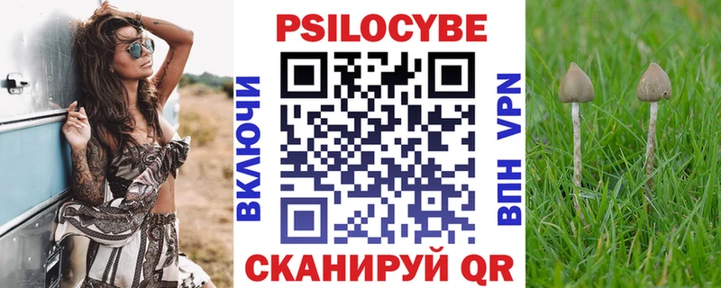 Псилоцибиновые грибы Cubensis как найти наркотики ОМГ ОМГ зеркало Называевск